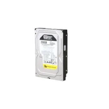 Western Digtal RE4 250 GB Desktop, Surveillance Systems, Network Attached Storage, Servers, All in One PC's Internal Hard Disk Drive (HDD) (WD2503ABYX) (Interface: SATA, Form Factor: 3.5 inch)