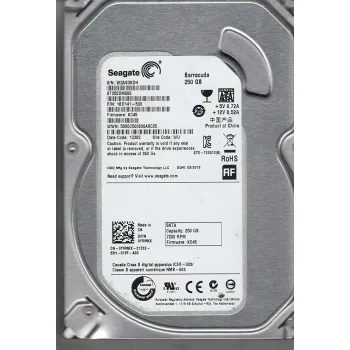 Seagate 250GB 7.2K RPM SATA 6Gbps 3.5 Inch Hard Disk 9YP131-516